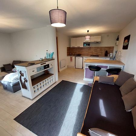 Confortable Studio 37M2 Netflix Canal+... Albertville Exterior foto