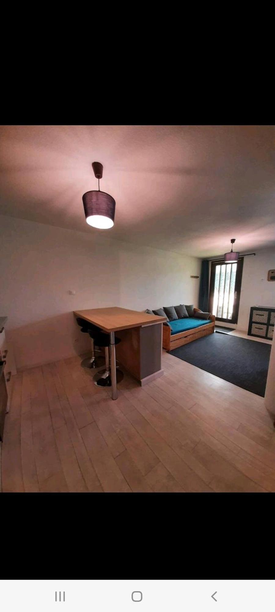 Apartamento Confortable Studio 37M2 Netflix Canal+... Albertville Exterior foto